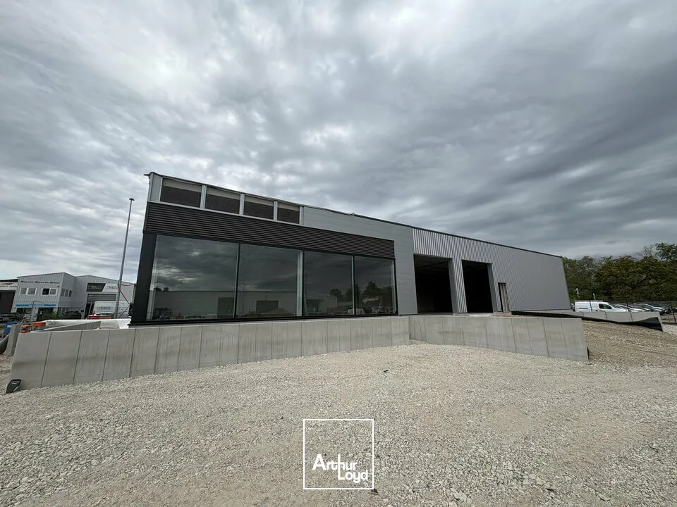 Locaux commerciaux - Location - SÉLESTAT - 67600 - 350-350 - 7904945