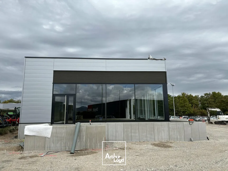 Locaux commerciaux - Location - SÉLESTAT - 67600 - 350-350 - 7904944