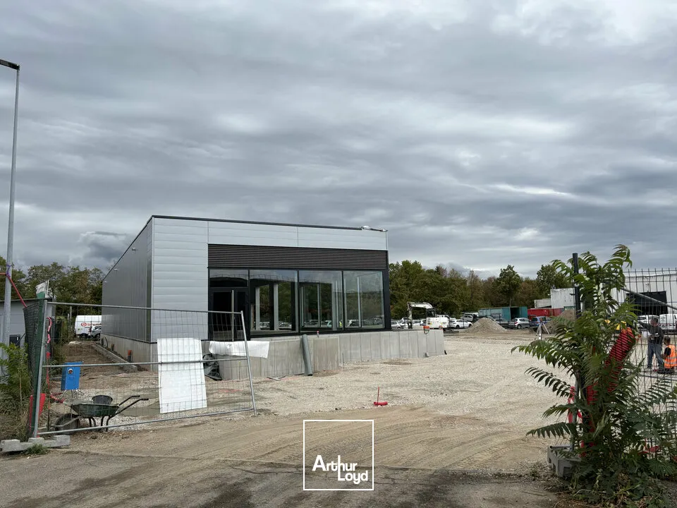 Locaux commerciaux - Location - SÉLESTAT - 67600 - 350-350 - 7904947