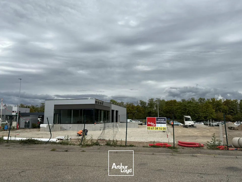 Locaux commerciaux - Location - SÉLESTAT - 67600 - 350-350 - 7904943