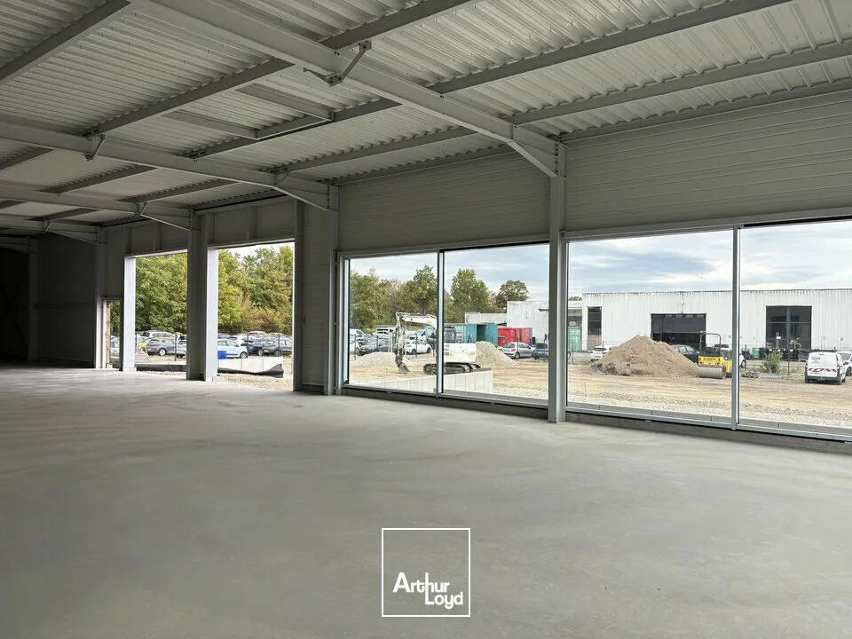 Locaux commerciaux - Location - SÉLESTAT - 67600 - 350-350 - 7904948