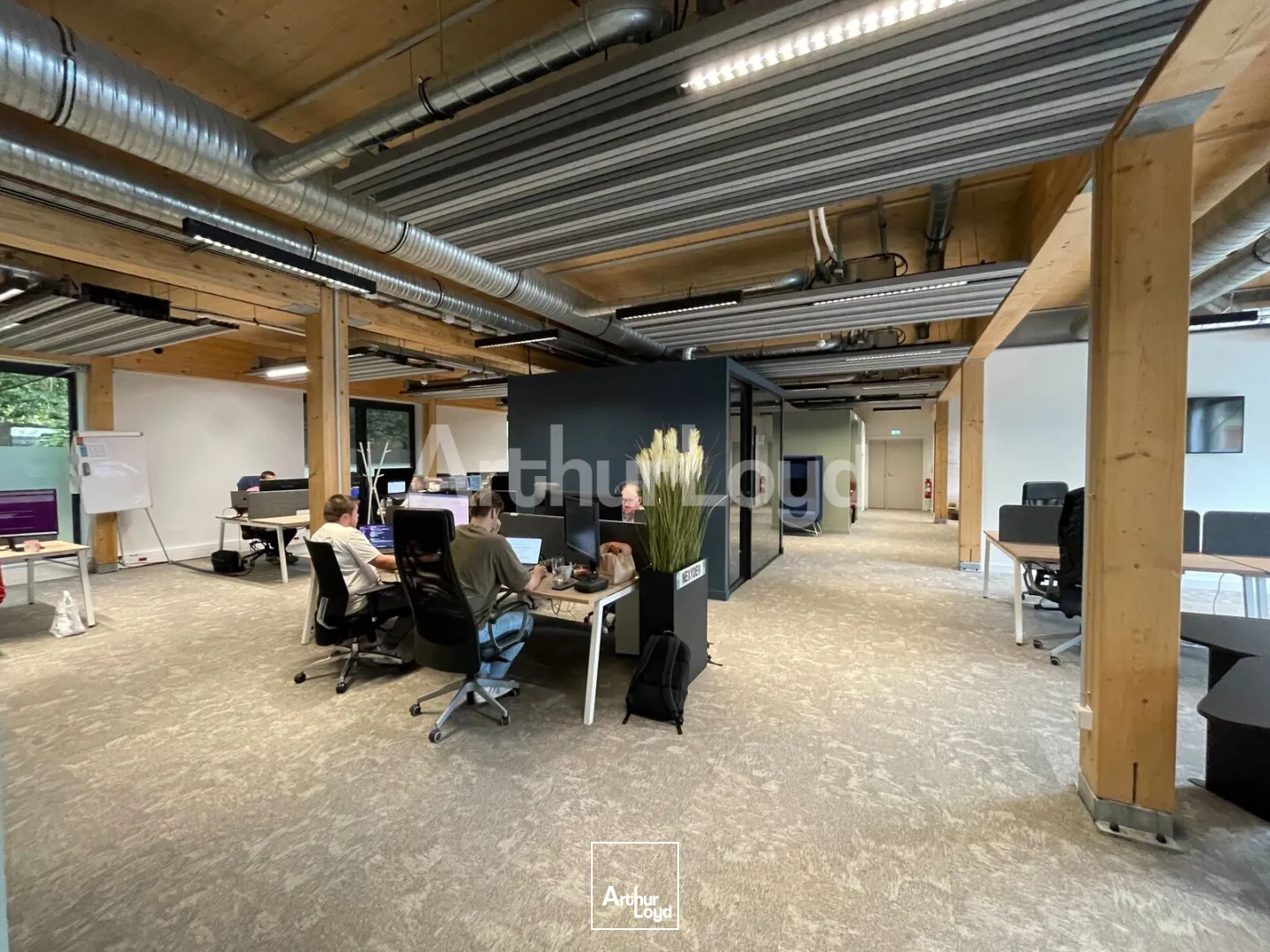 Bureaux - Location - VILLENEUVE D'ASCQ - 59650 - 517-517 - 7905610