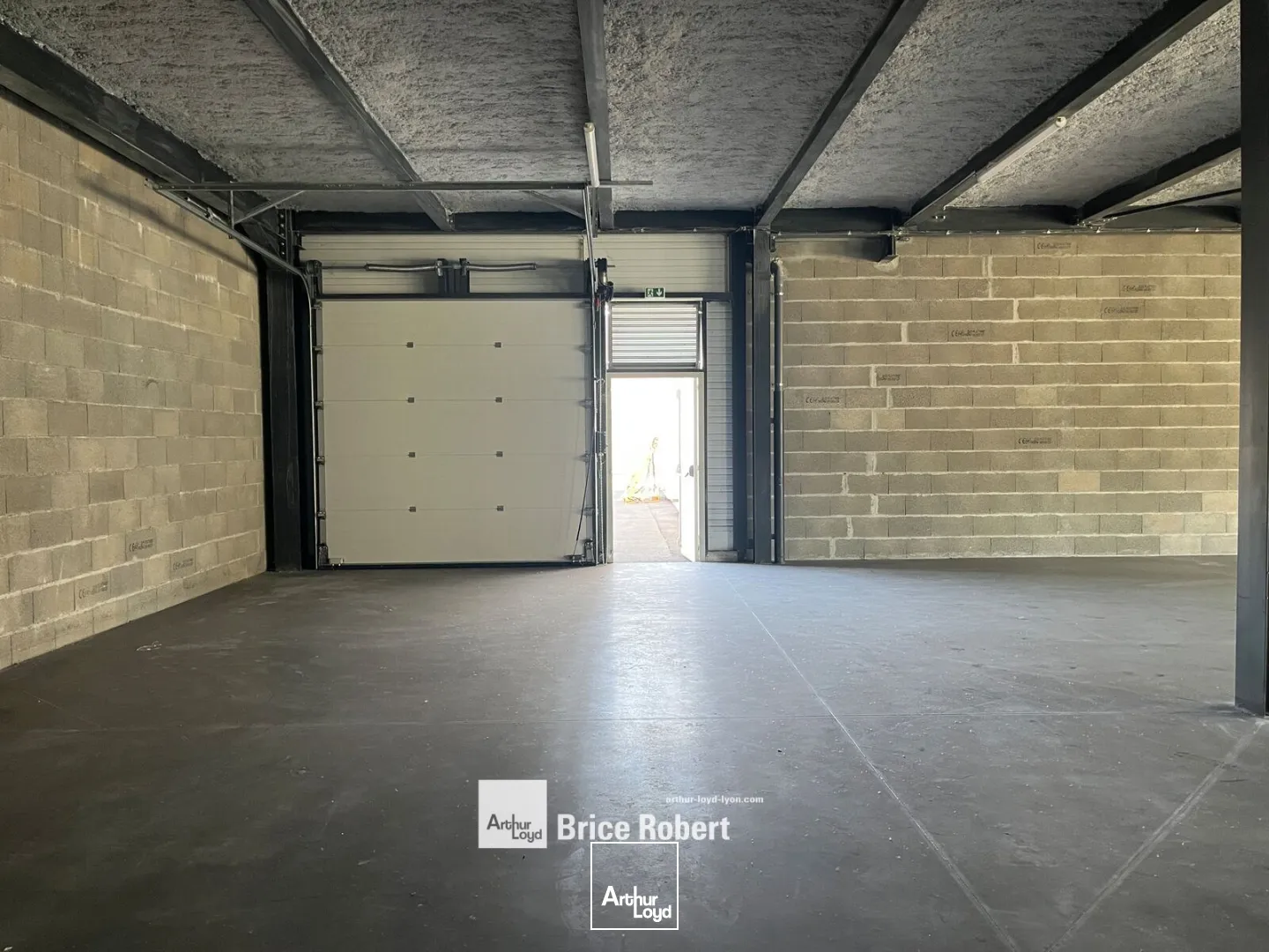 Locaux d'activité & Entrepôts - Vente - DECINES CHARPIEU - 69150 - 301-301 - 7905722