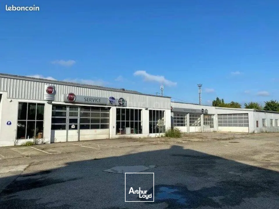 Locaux commerciaux - Location - HAGUENAU - 67500 - 1230-1230 - 7905892