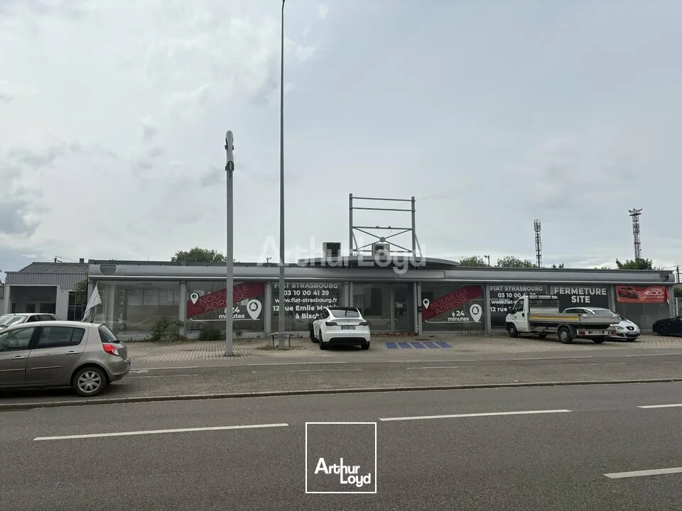 Locaux commerciaux - Location - HAGUENAU - 67500 - 1230-1230 - 7905891