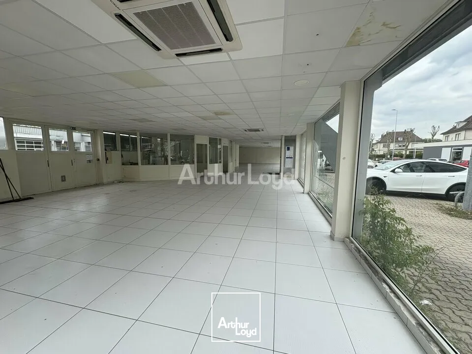 Locaux commerciaux - Location - HAGUENAU - 67500 - 1230-1230 - 7905893