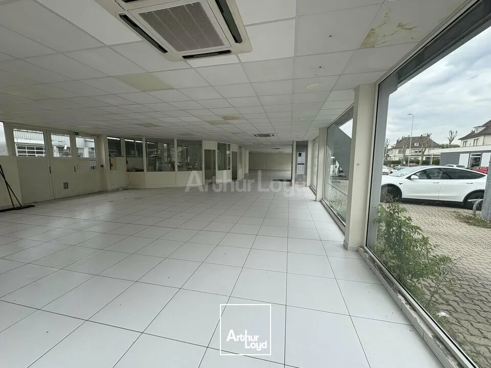 Locaux commerciaux - Location - HAGUENAU - 67500 - 320-320 - 7905897