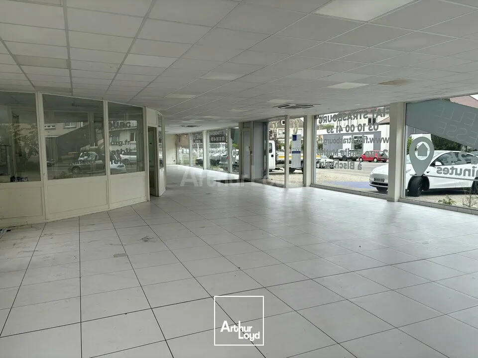 Locaux commerciaux - Location - HAGUENAU - 67500 - 320-320 - 7905899
