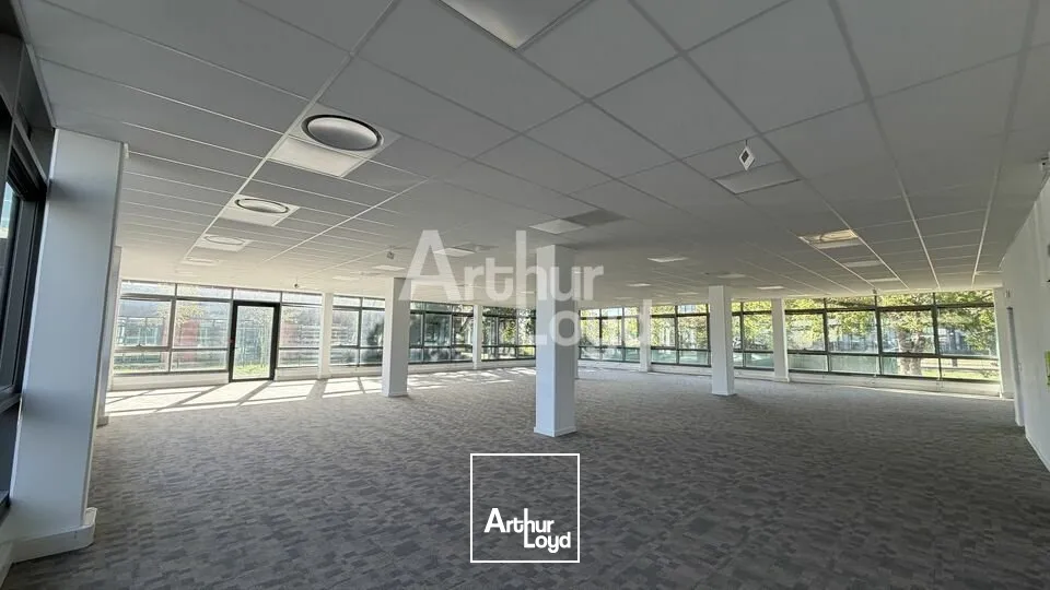 Bureaux - Location - LE MANS - 72000 - 244.1-434.2 - 7905959