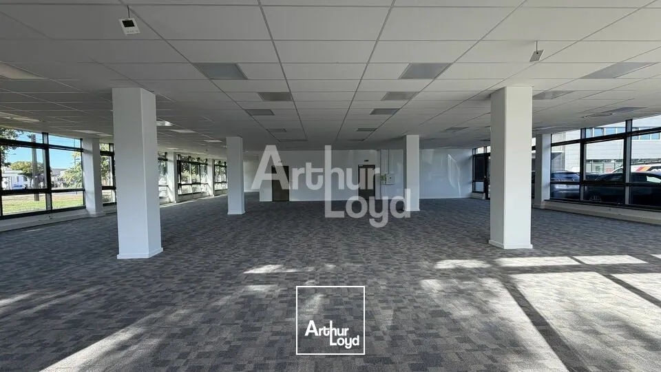 Bureaux - Location - LE MANS - 72000 - 244.1-434.2 - 7905960