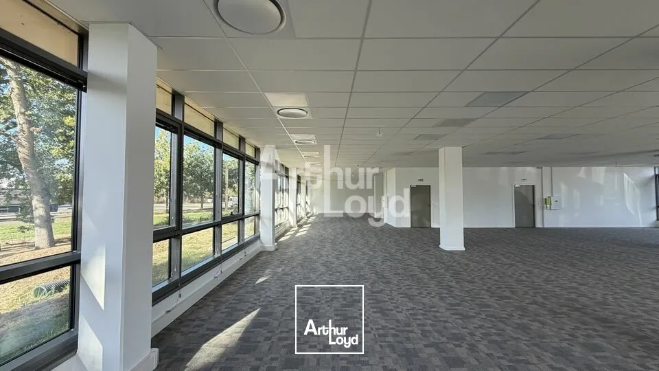 Bureaux - Location - LE MANS - 72000 - 244.1-434.2 - 7905963