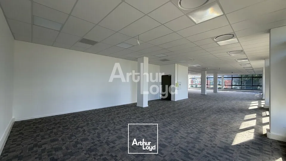 Bureaux - Location - LE MANS - 72000 - 244.1-434.2 - 7905964