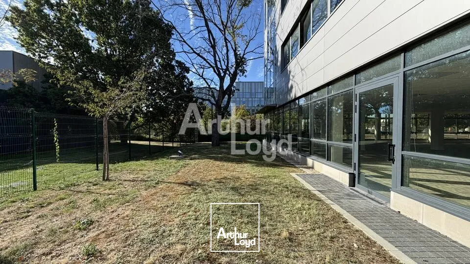 Bureaux - Location - LE MANS - 72000 - 244.1-434.2 - 7905966