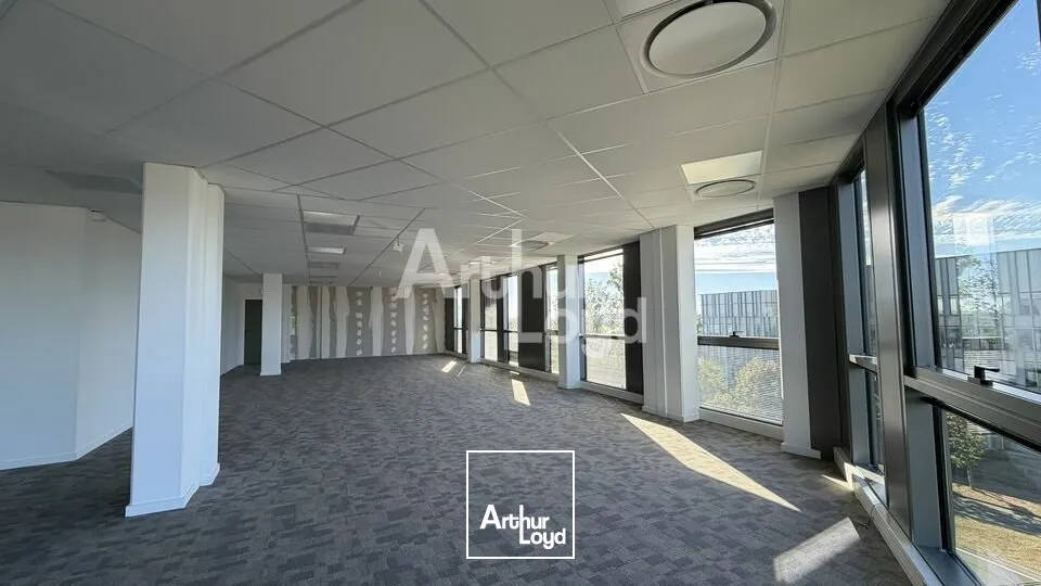 Bureaux - Location - LE MANS - 72000 - 278.3-278.3 - 7905969