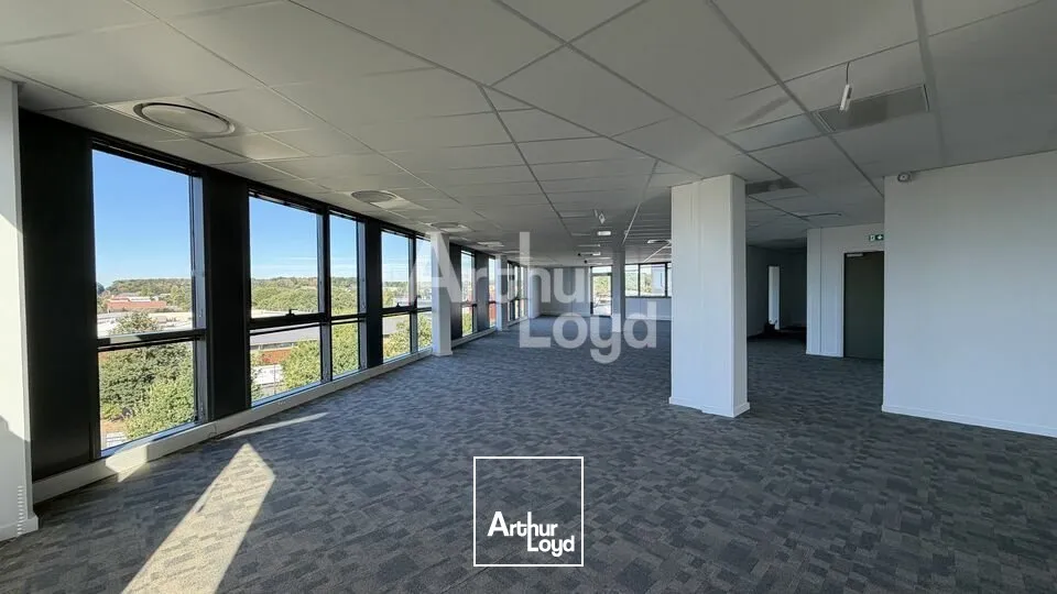 Bureaux - Location - LE MANS - 72000 - 278.3-278.3 - 7905970