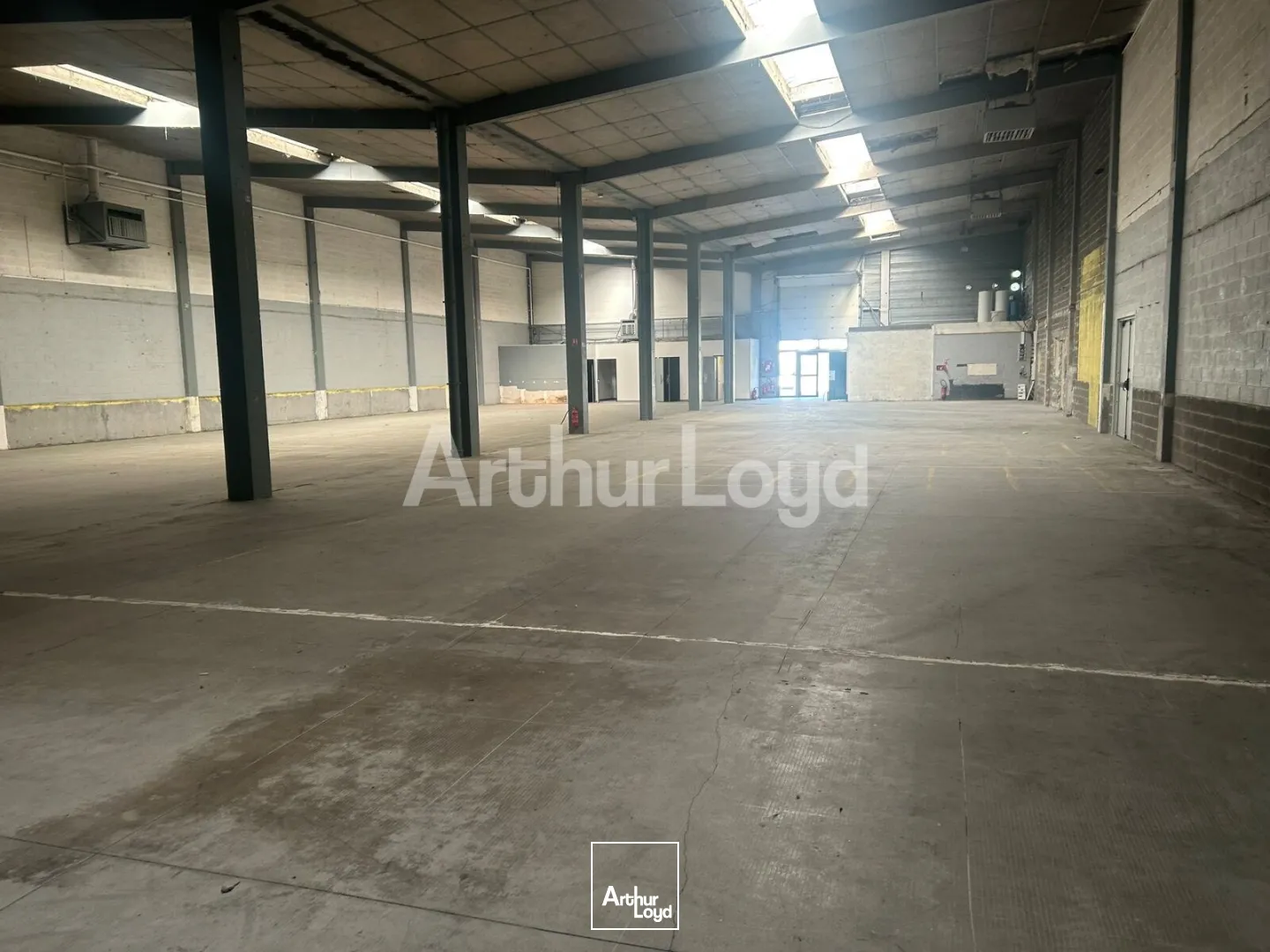 Locaux d'activité & Entrepôts - Location - VILLENEUVE D'ASCQ - 59650 - 396-1692 - 7906572