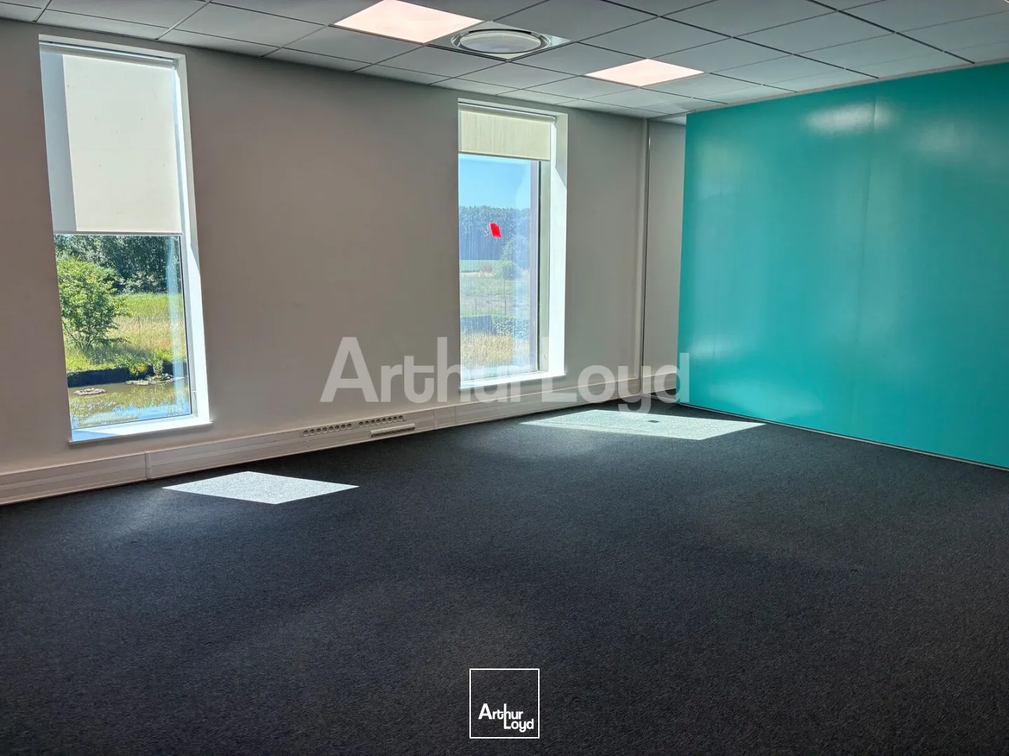 Bureaux - Location - SAINGHIN EN MELANTOIS - 59262 - 1267.35-4017.7 - 7906594