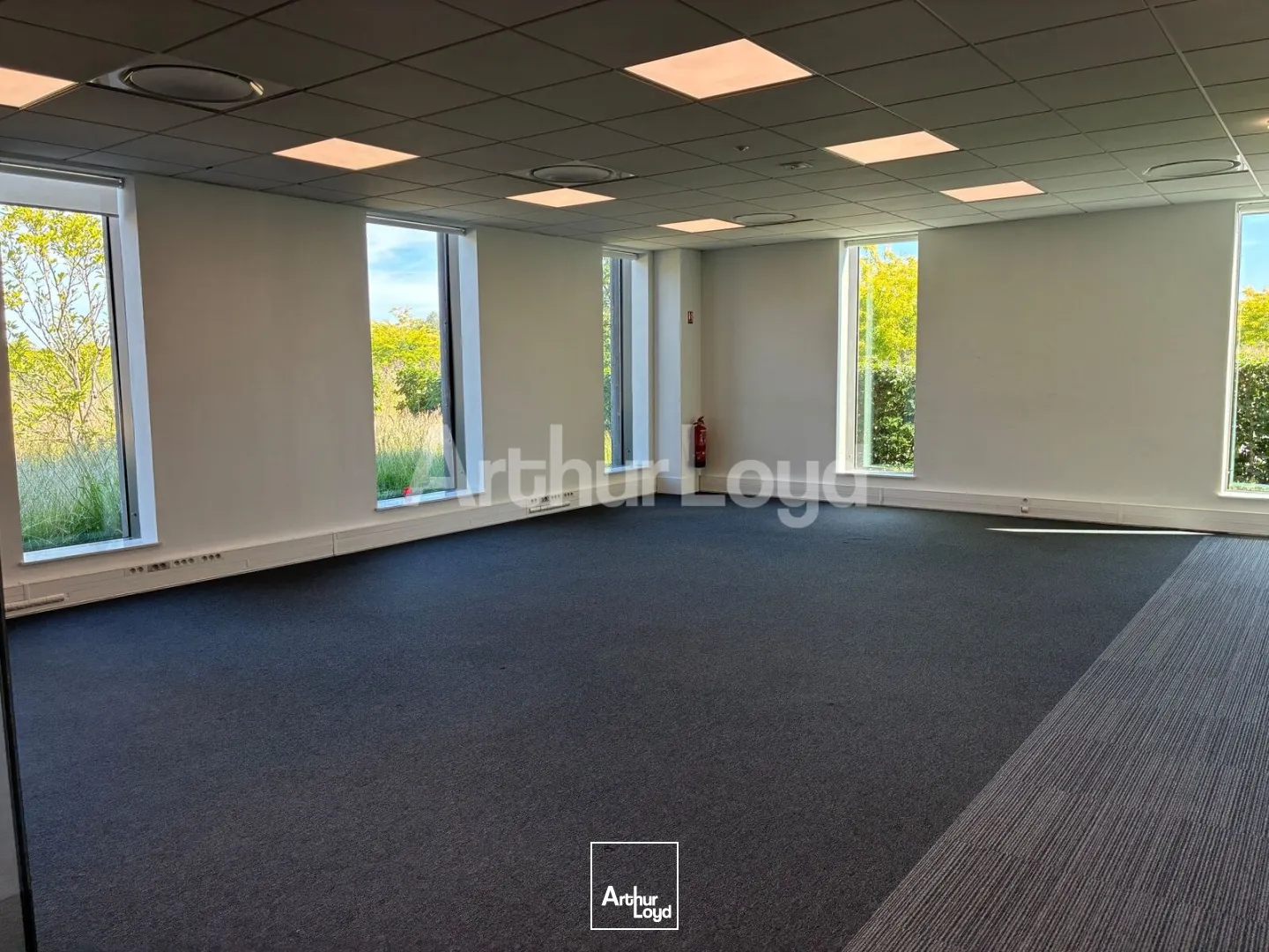 Bureaux - Location - SAINGHIN EN MELANTOIS - 59262 - 1267.35-4017.7 - 7906588