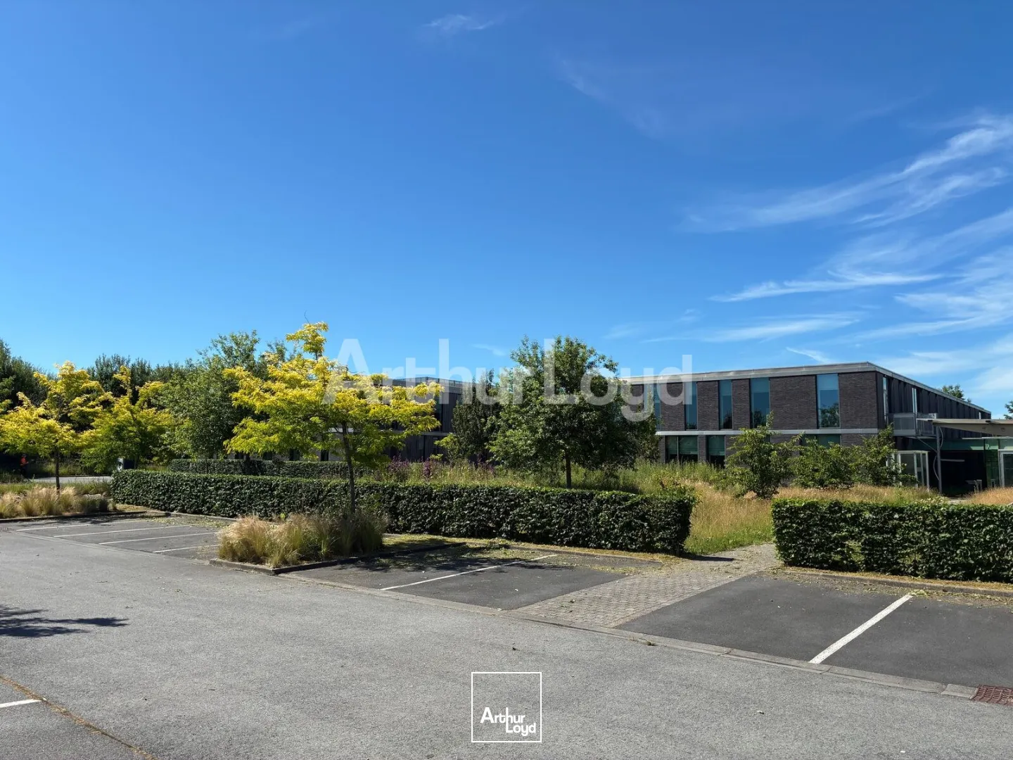 Bureaux - Location - SAINGHIN EN MELANTOIS - 59262 - 1267.35-4017.7 - 7906583