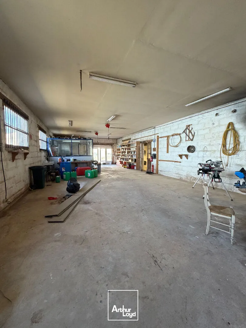 Locaux d'activité & Entrepôts - Vente - SAINT JUNIEN - 87200 - 370-370 - 7906807