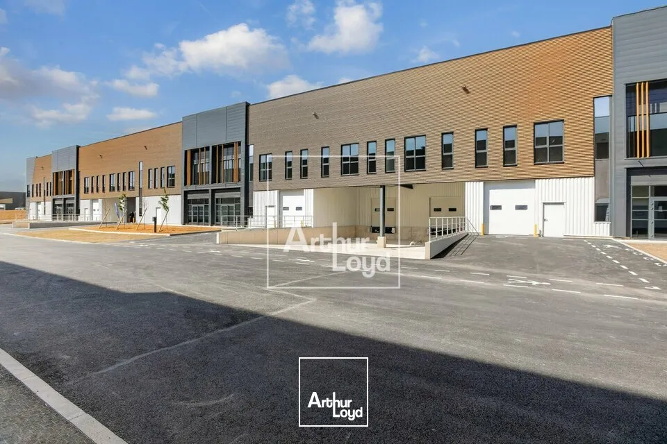 Locaux d'activité & Entrepôts - Location - WISSOUS - 91320 - 637-9501 - 7906966
