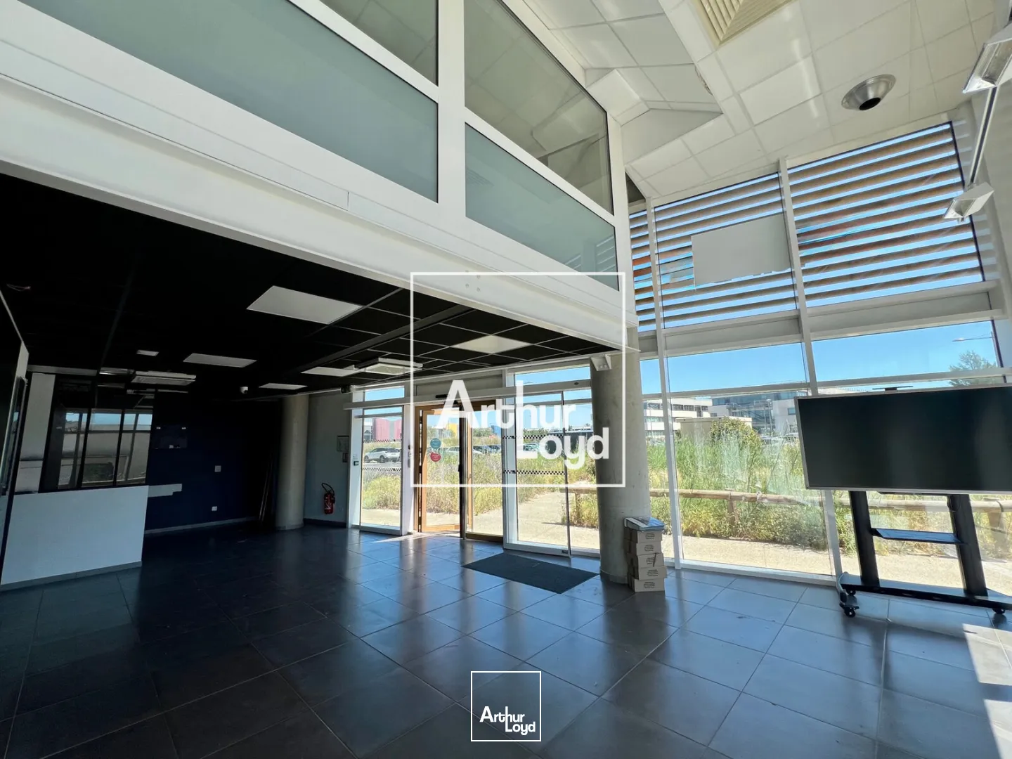 Bureaux - Vente - PEROLS - 34470 - 522-522 - 7907175