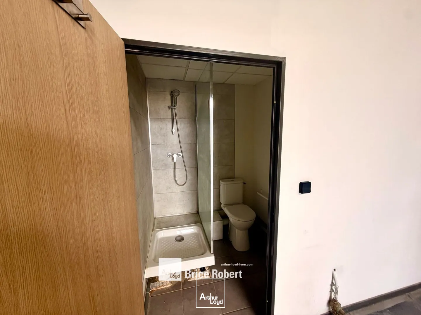 Locaux d'activité & Entrepôts - Location - CHASSIEU - 69680 - 195-195 - 7907608
