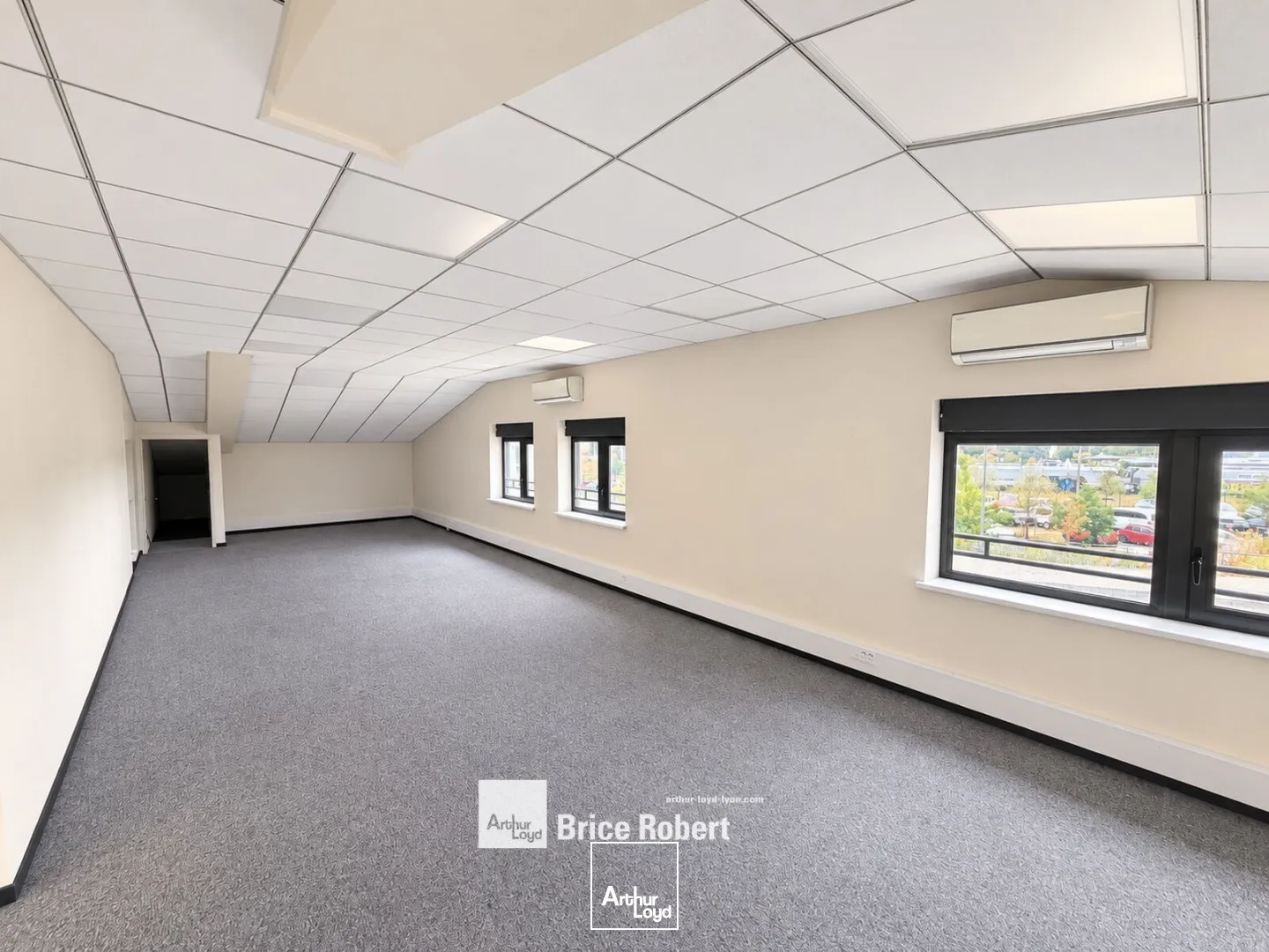 Locaux d'activité & Entrepôts - Location - RILLIEUX LA PAPE - 69140 - 342-1475 - 7907625