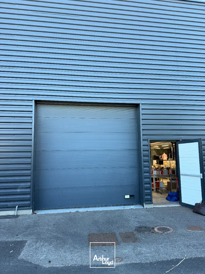Locaux commerciaux - Location - LIMOGES - 87000 - 450-450 - 7907755