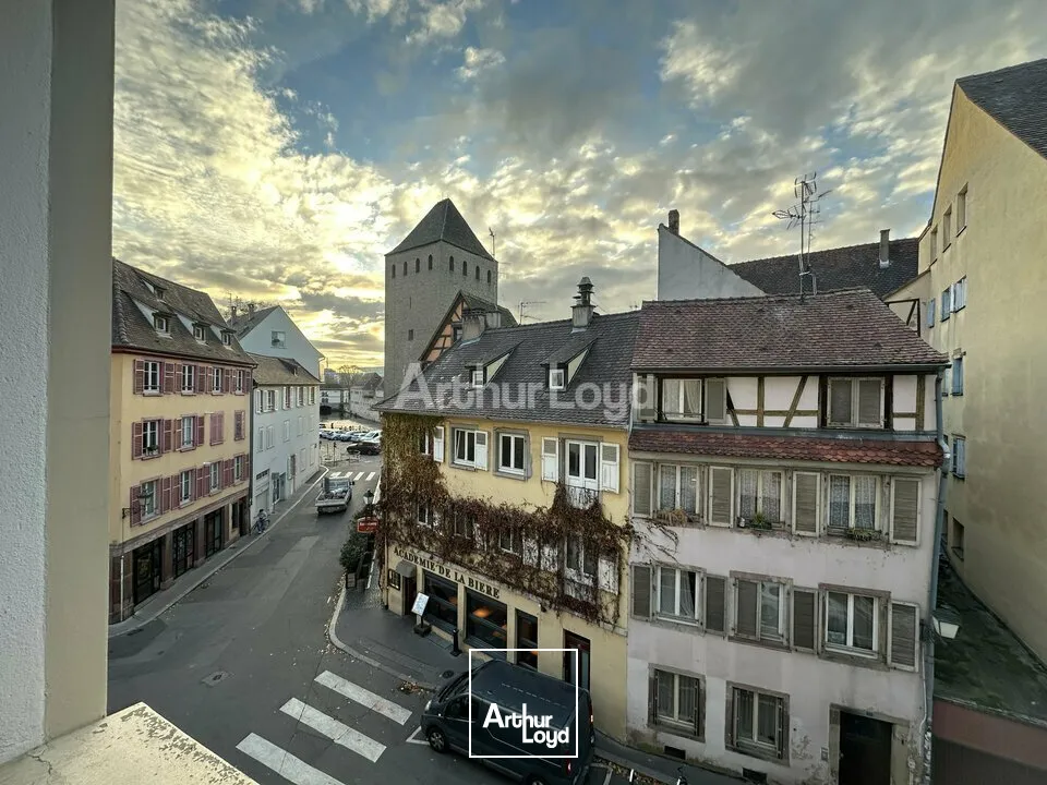 Bureaux - Location - STRASBOURG - 67000 - 433-433 - 7907789