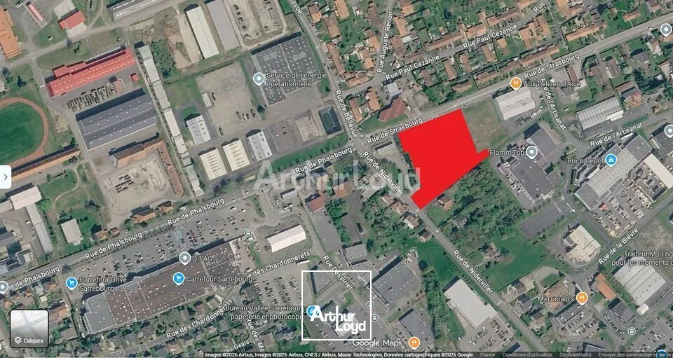 Terrains - Vente - SARREBOURG - 57400 - 8949-8949 - 7908878