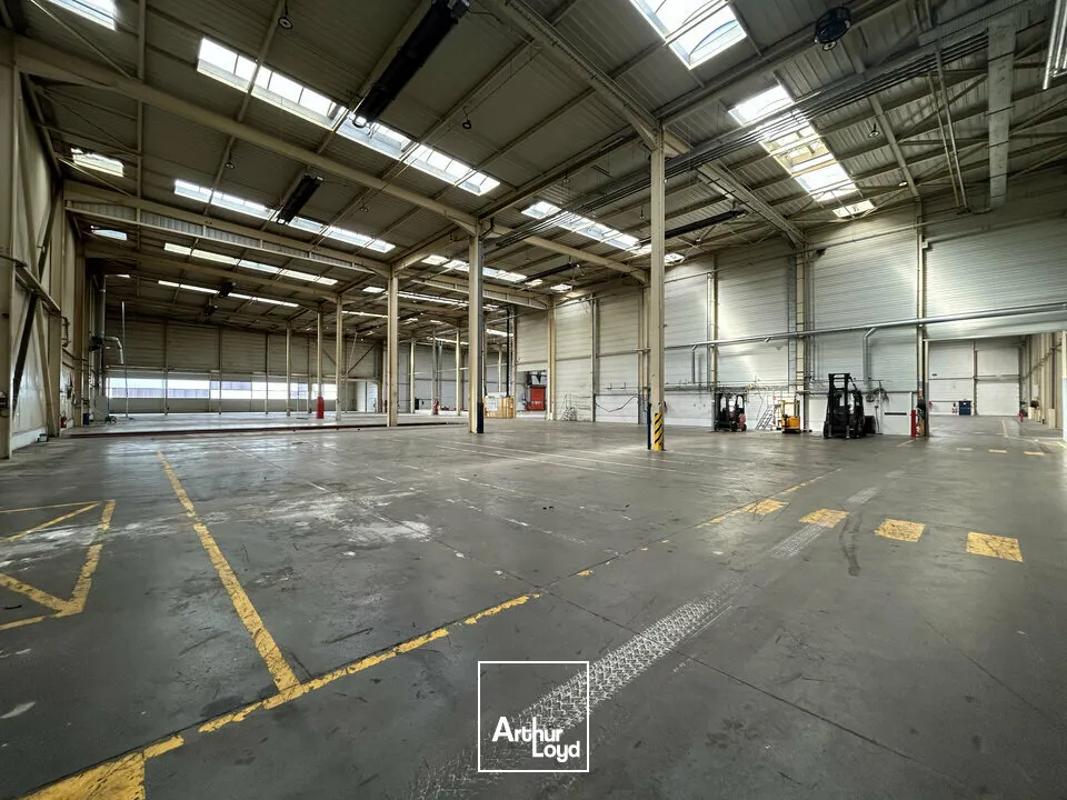 Locaux d'activité & Entrepôts - Vente - FAULQUEMONT - 57380 - 17956-17956 - 7908884