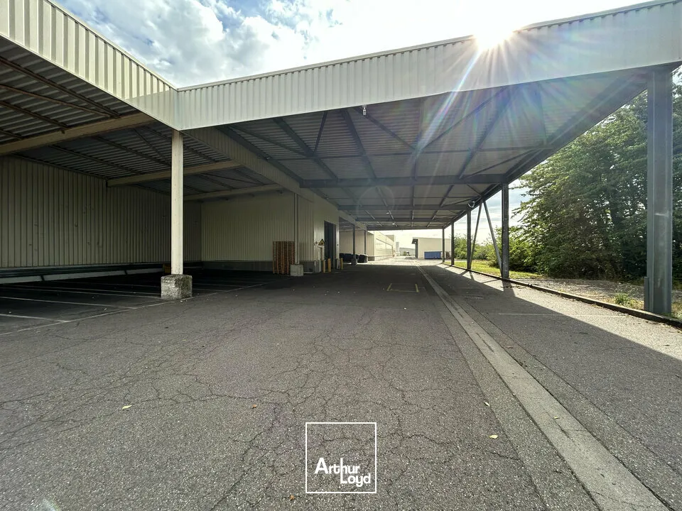 Locaux d'activité & Entrepôts - Vente - FAULQUEMONT - 57380 - 17956-17956 - 7908889