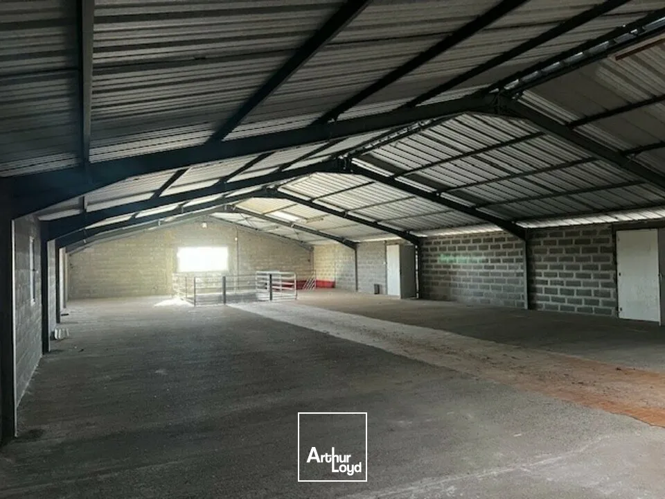 Locaux d'activité & Entrepôts - Location - SAINTE-GEMME-LA-PLAINE - 85400 - 450-450 - 7908969