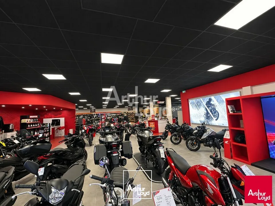 Locaux d'activité & Entrepôts - Location - SAINT-MALO - 35400 - 700-700 - 7908987