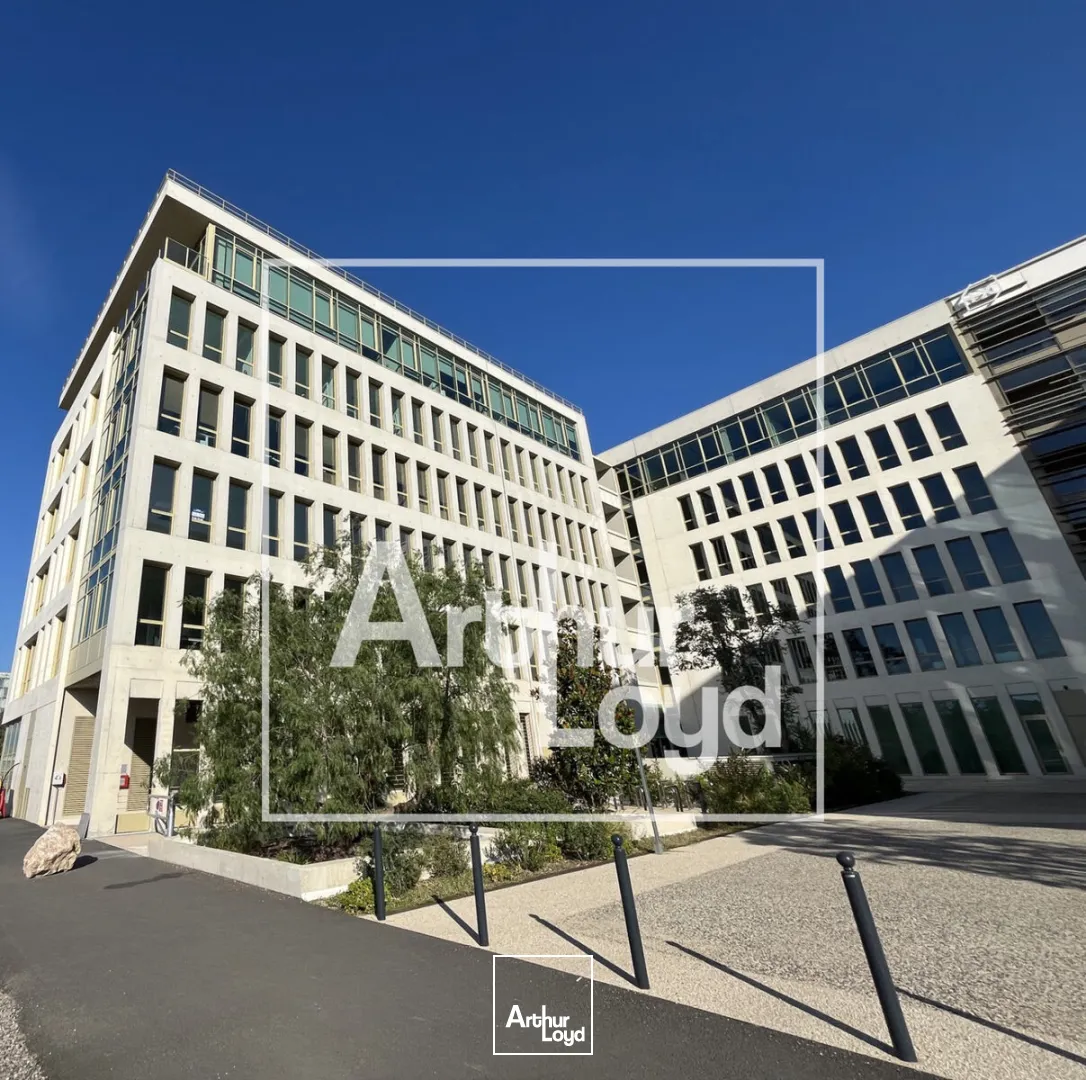Bureaux - Location - MONTPELLIER - 34000 - 125-305 - 7909065