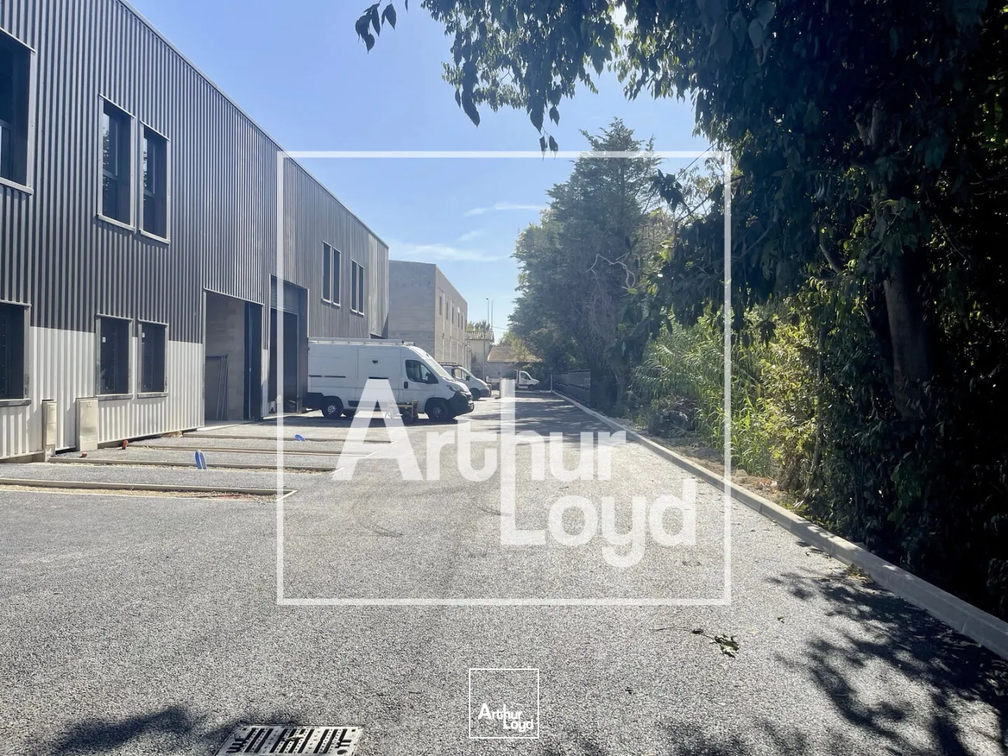 Locaux d'activité & Entrepôts - Location - LATTES - 34970 - 244-244 - 7909096