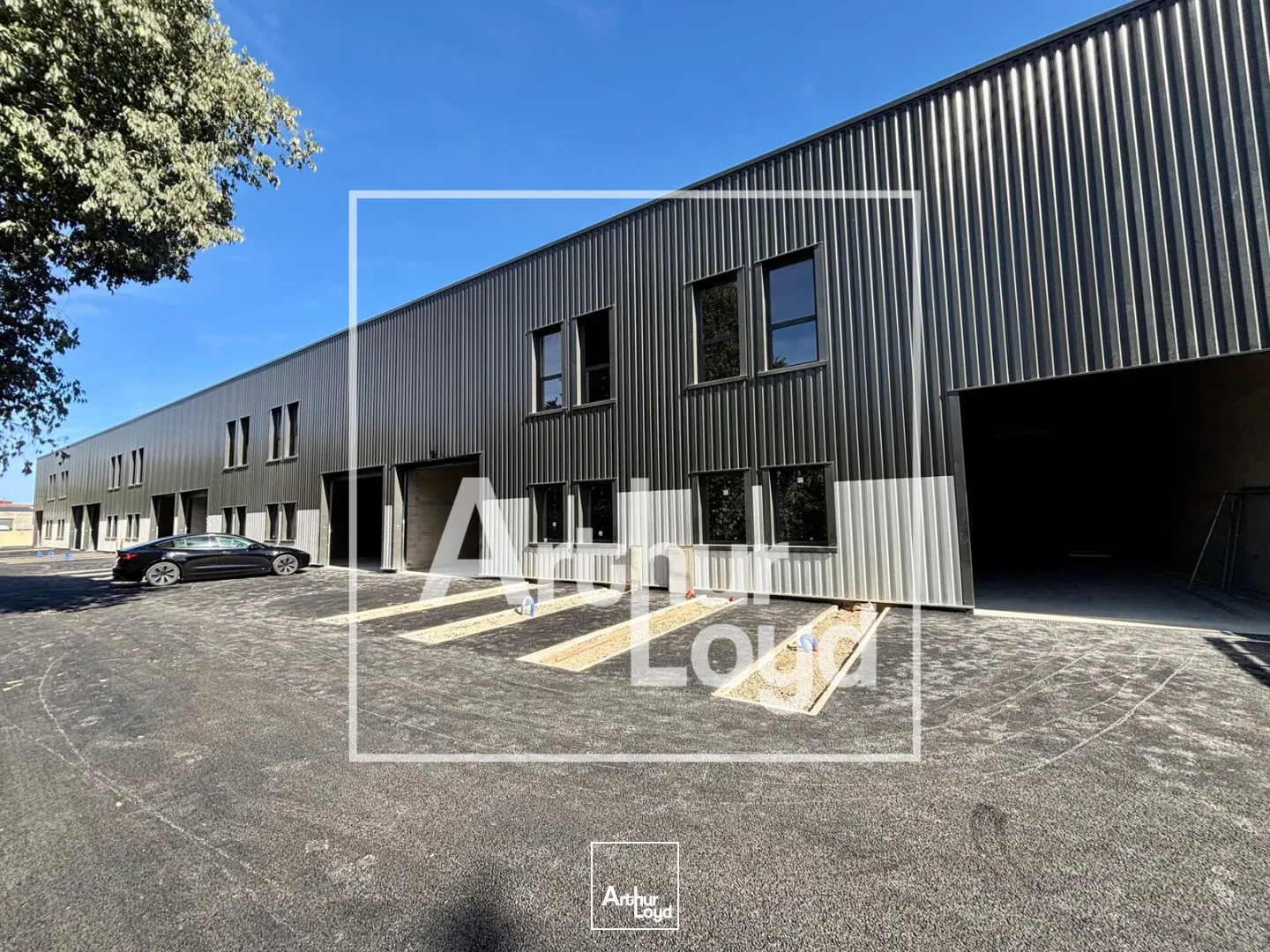 Locaux d'activité & Entrepôts - Location - LATTES - 34970 - 270-270 - 7909101