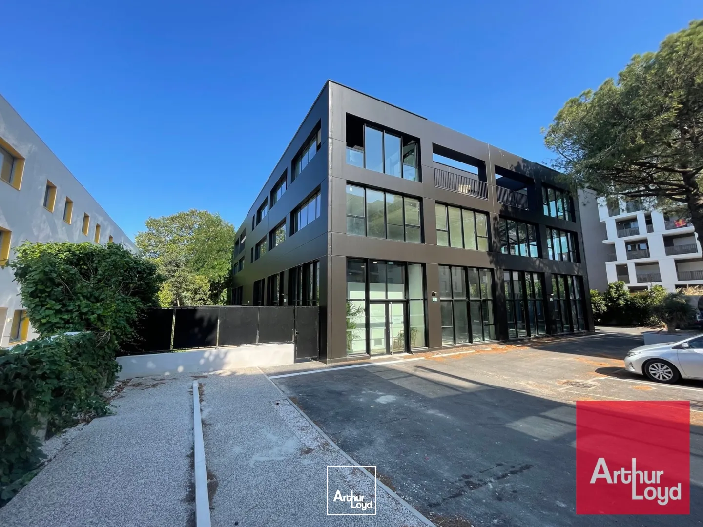 Bureaux - Vente - MONTPELLIER - 34090 - 132.7-645.72 - 7909163
