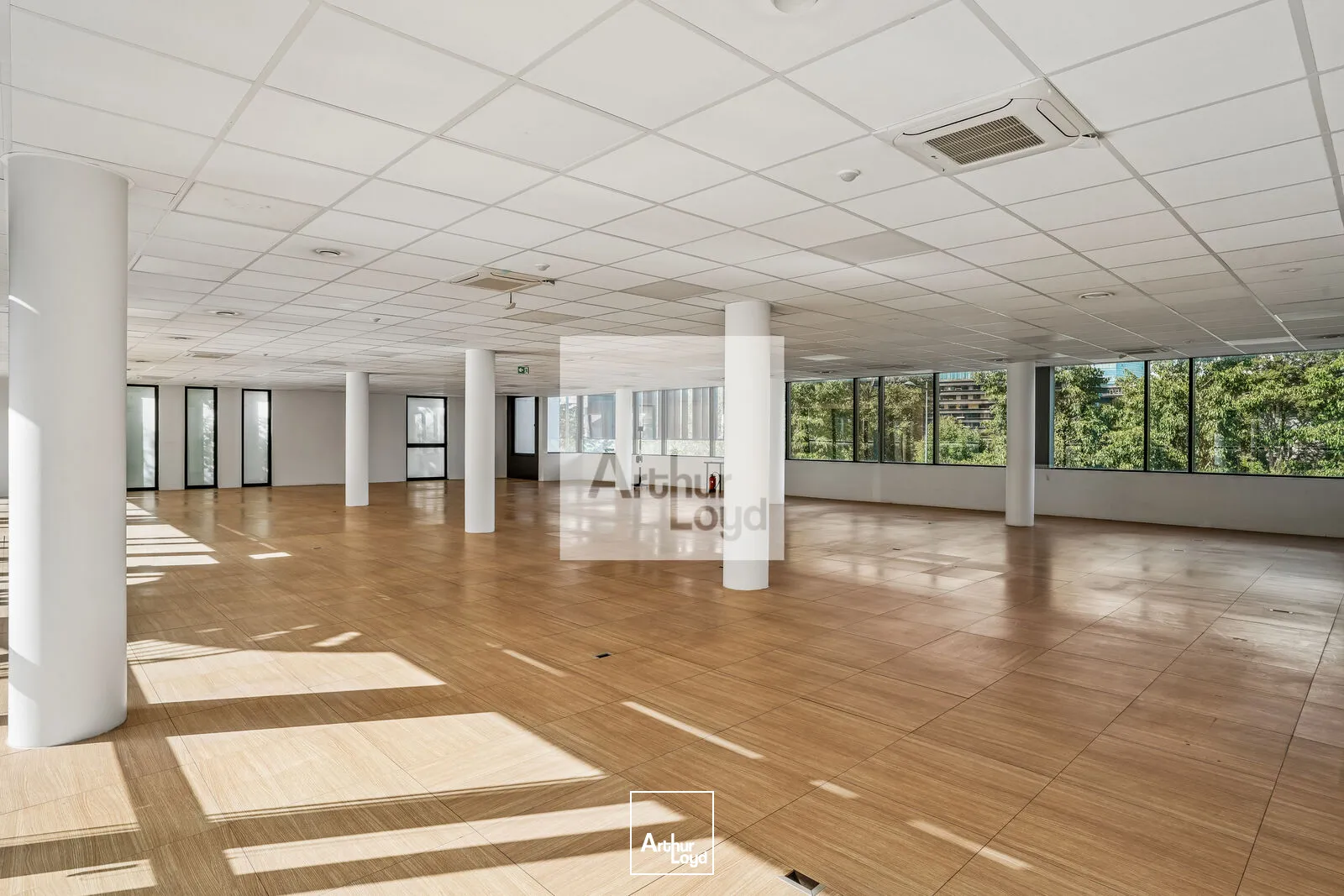 Bureaux - Location - MEUDON - 92190 - 1055.71-1055.71 - 7909502