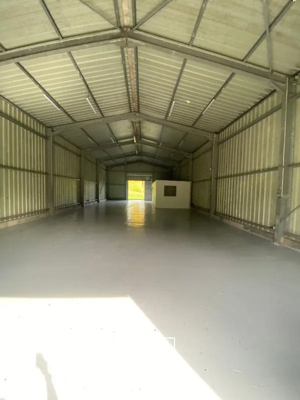 Locaux d'activité & Entrepôts - Location - Le Lamentin - 97232 - 250-250 - 7909824