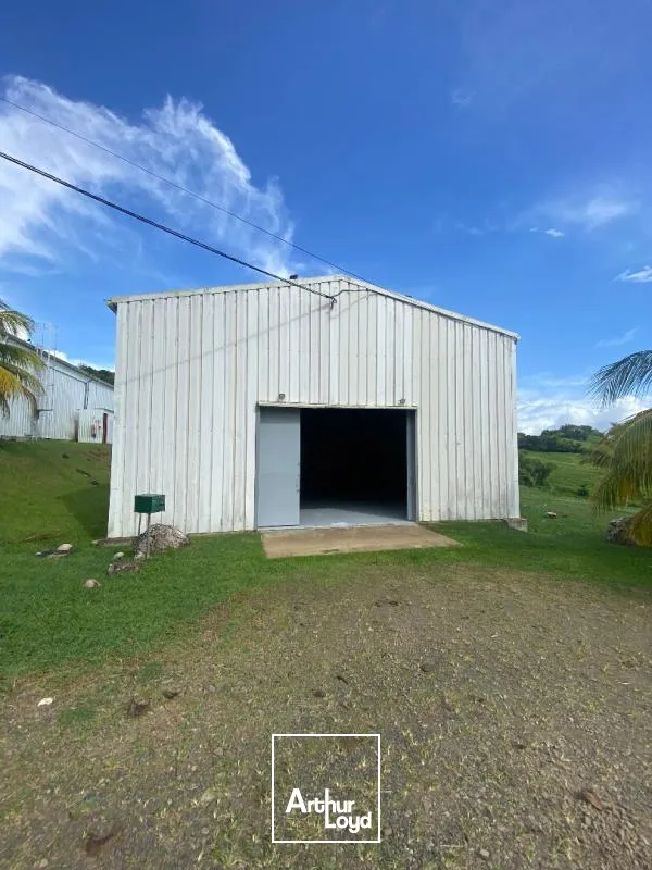 Locaux d'activité & Entrepôts - Location - Le Lamentin - 97232 - 250-250 - 7909823