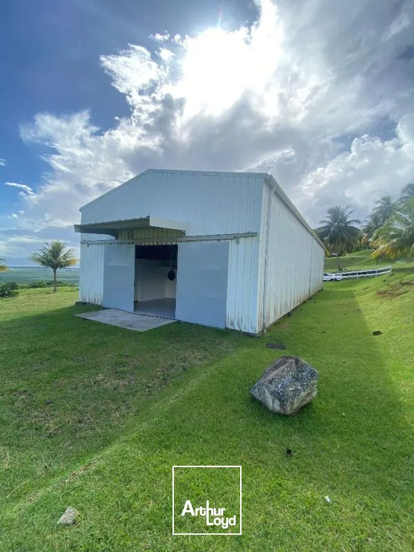 Locaux d'activité & Entrepôts - Location - Le Lamentin - 97232 - 250-250 - 7909822