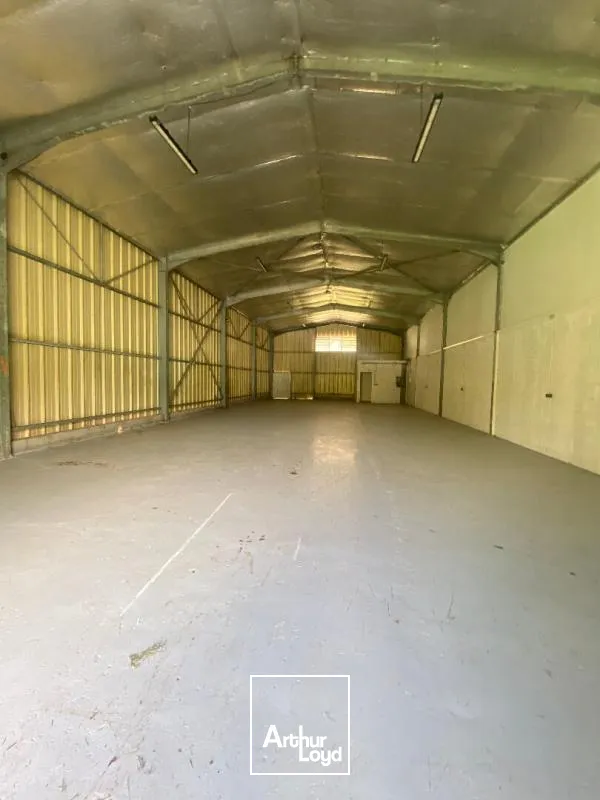 Locaux d'activité & Entrepôts - Location - Le Lamentin - 97232 - 250-250 - 7909832