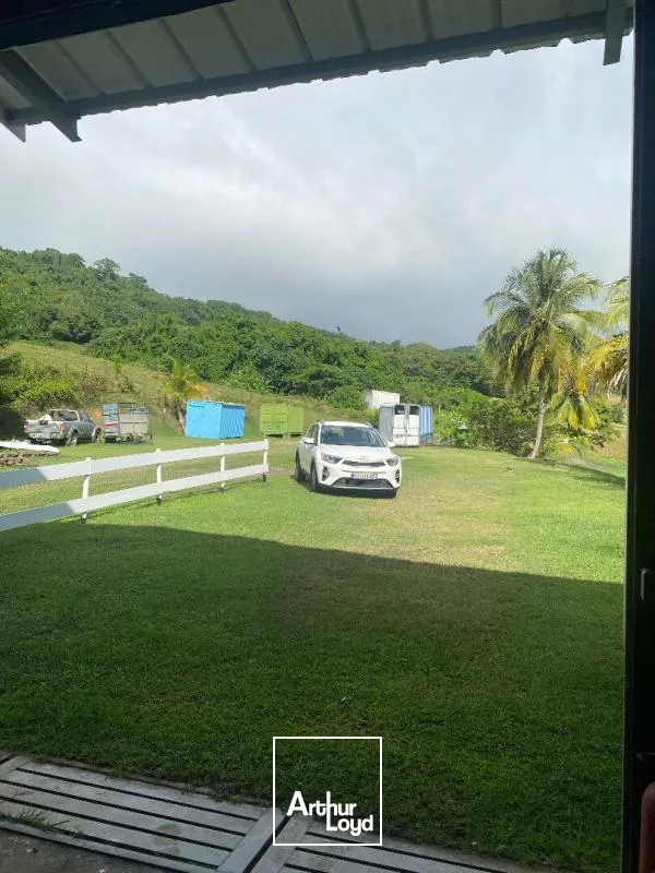 Locaux d'activité & Entrepôts - Location - Le Lamentin - 97232 - 250-250 - 7909833
