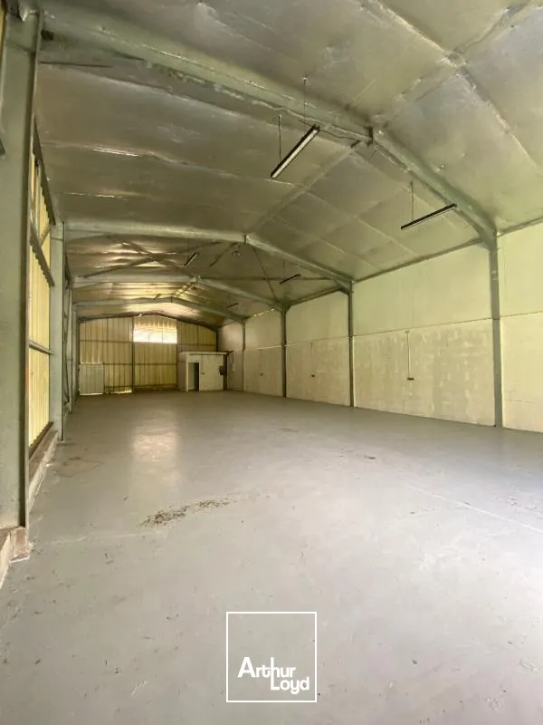 Locaux d'activité & Entrepôts - Location - Le Lamentin - 97232 - 250-250 - 7909831
