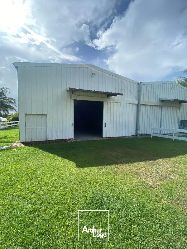 Locaux d'activité & Entrepôts - Location - Le Lamentin - 97232 - 250-250 - 7909829