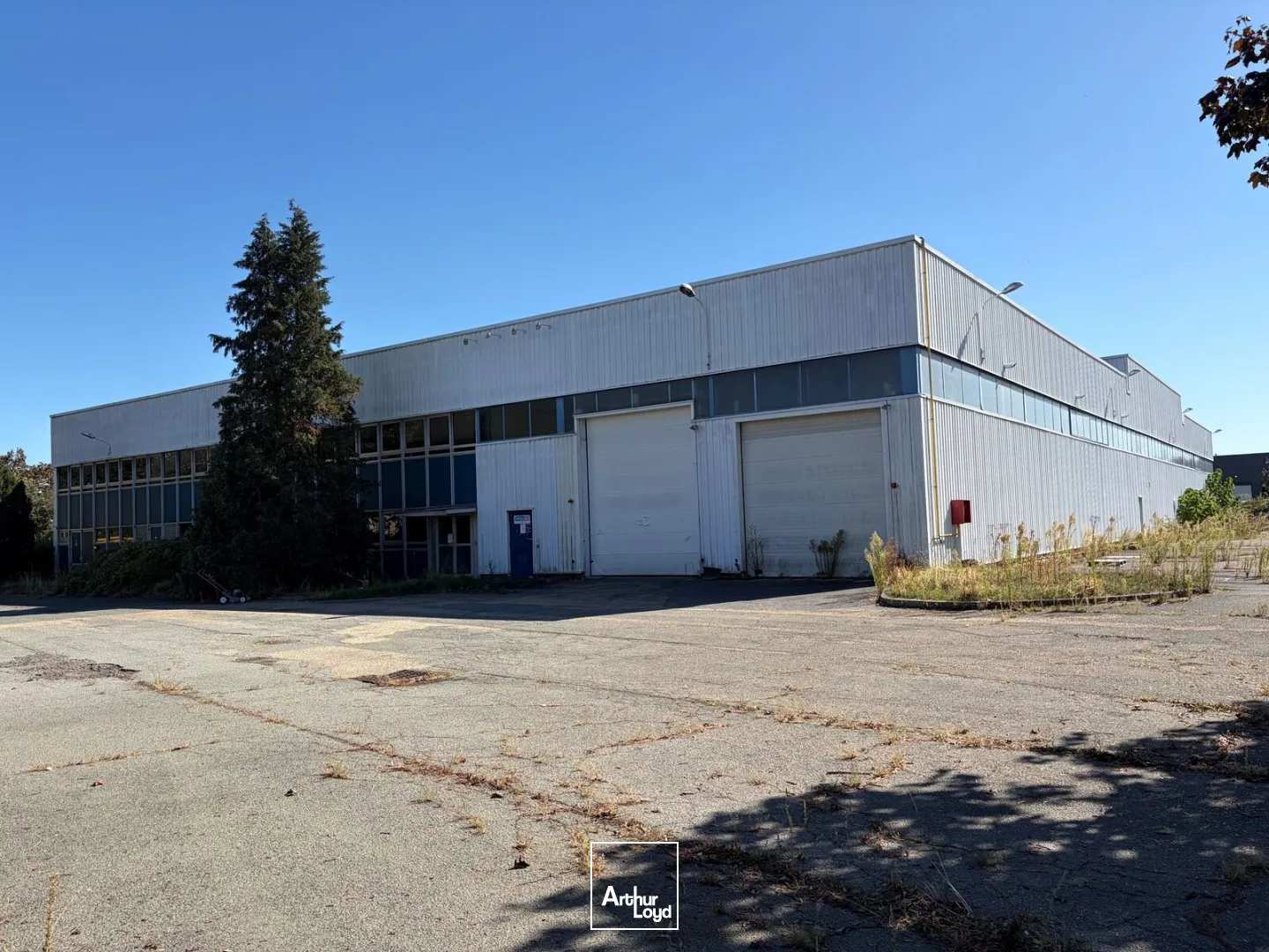 Locaux d'activité & Entrepôts - Location - SAINT OUEN L'AUMONE - 95310 - 4404-4404 - 7910314