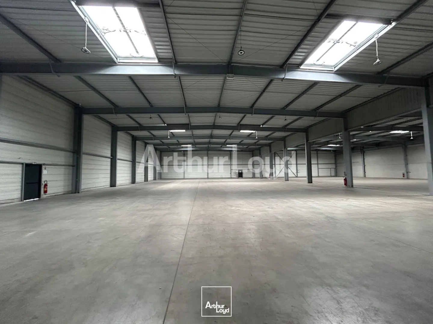 Locaux d'activité & Entrepôts - Location - SARS ET ROSIERES - 59230 - 2940-2940 - 7910481