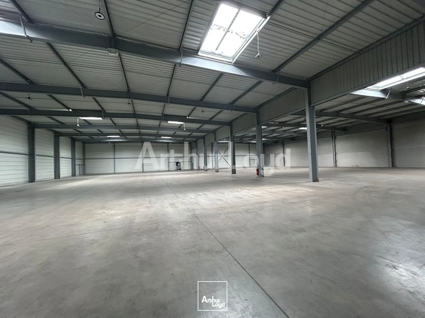 Locaux d'activité & Entrepôts - Location - SARS ET ROSIERES - 59230 - 2940-2940 - 7910483